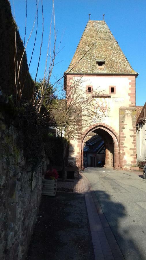 Le Nid De Birsa, 3 Etoiles, Hebergement De Tres Bon Confort Boersch Exterior photo